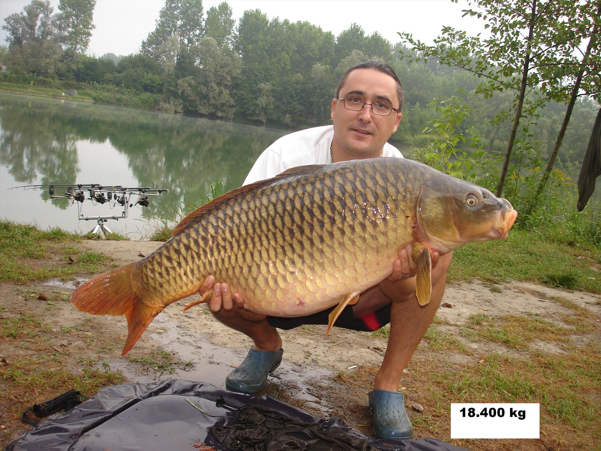 THE BIGS OF 2011 - p1000121.JPG